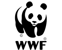 img-wwf-removebg-preview.png
